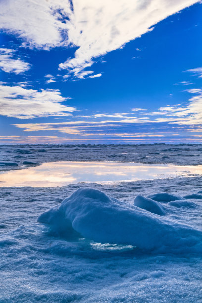 arctic