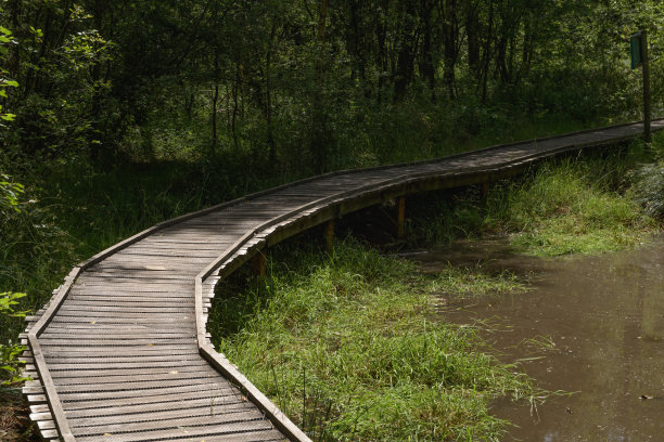 boardwalk
