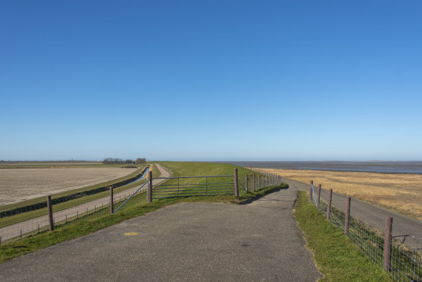 _texel