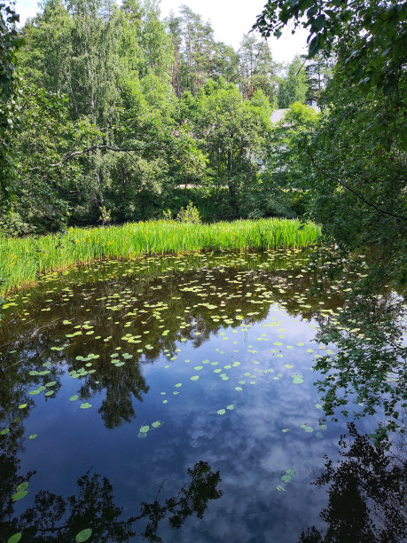 ponds