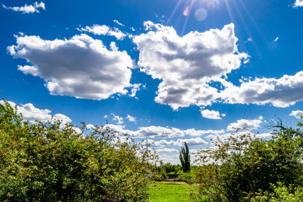 户外蓝天白云草地树林图片