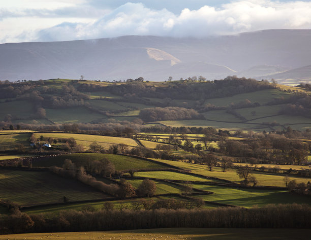 powys