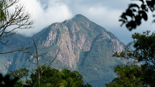 大西洋沿岸森林,巴拉那洲,高山