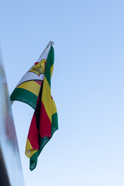zimbabwean