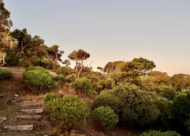 bushveld