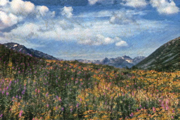 火龙草,高山,户外