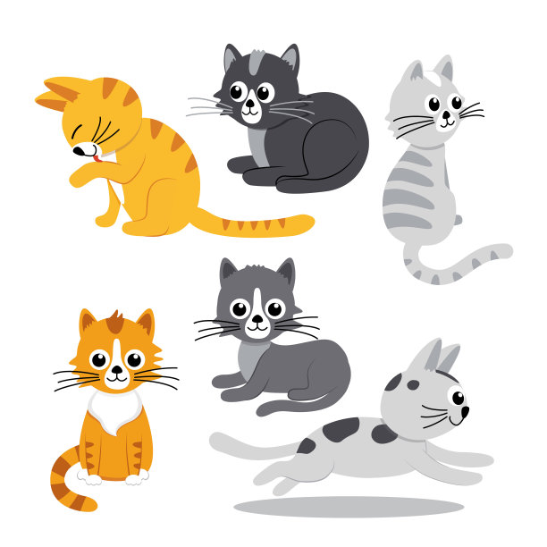 斑纹猫,猫,爪子