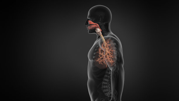 thymus