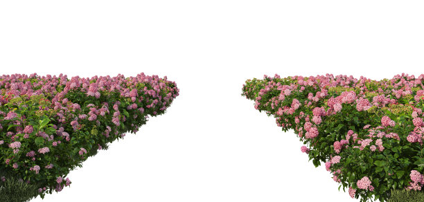 flora