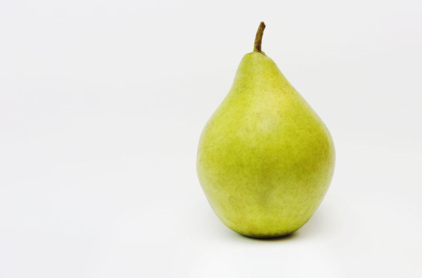 pyrus