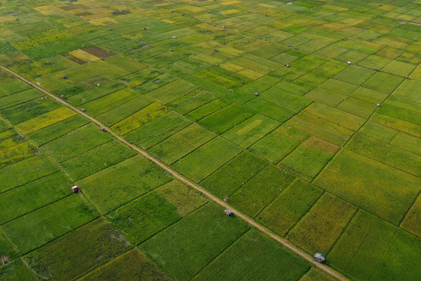 aerial