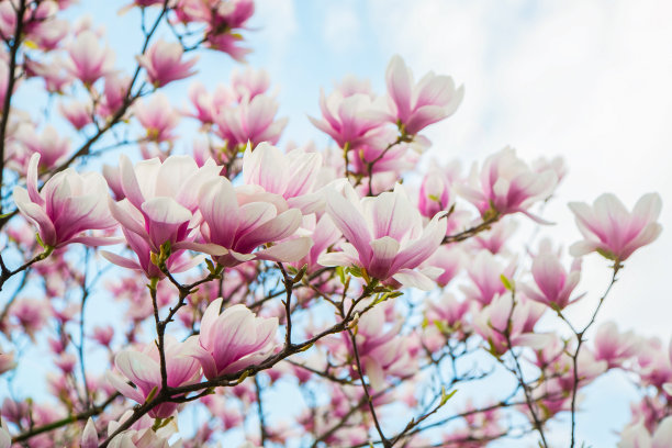 april