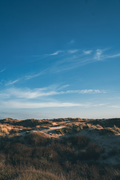 dune