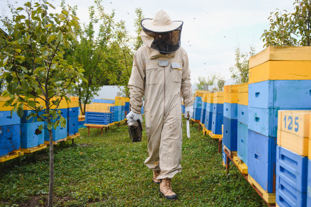 beekeeper