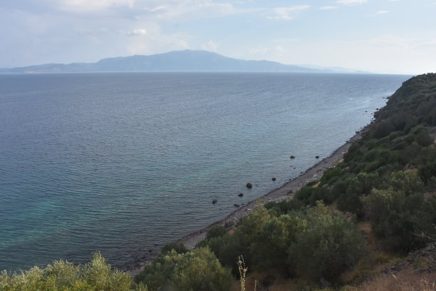 assos