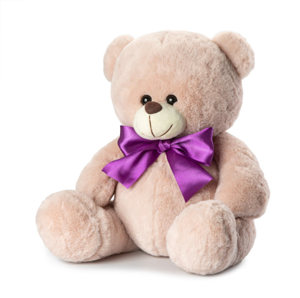 teddy