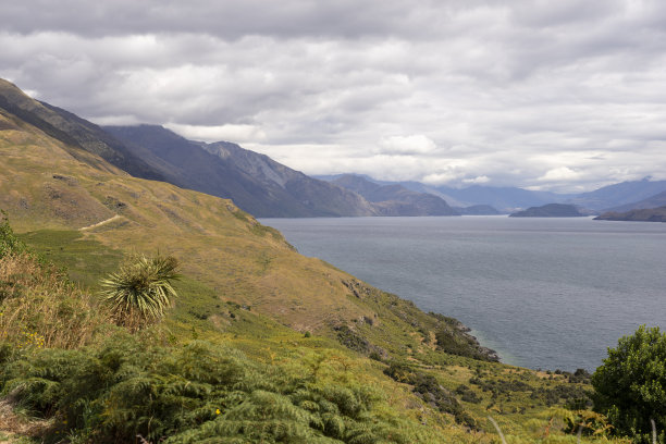 hawea