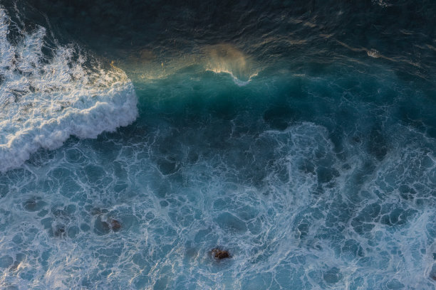 飞鸟蓝色大海壁纸