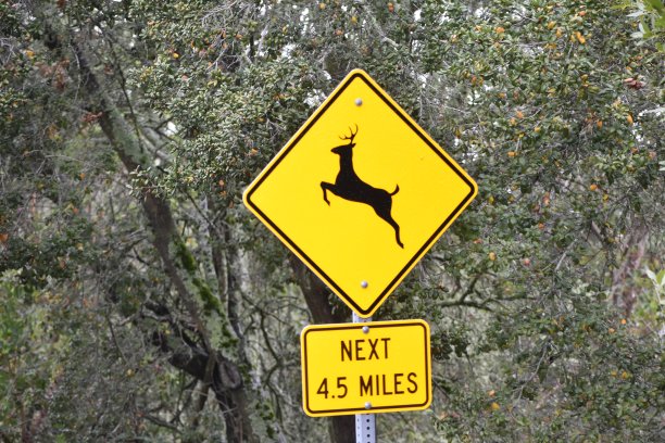 safety