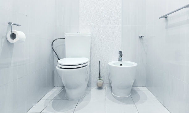 bidet