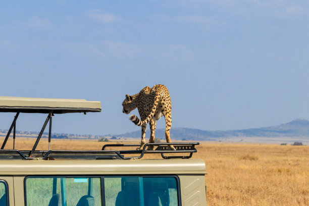 tanzania