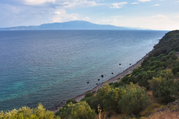 assos