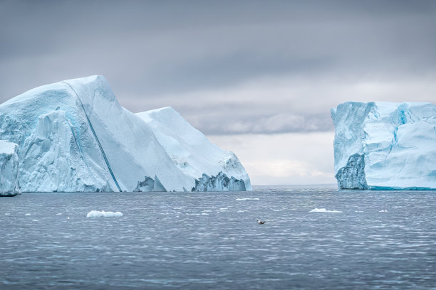 arctic