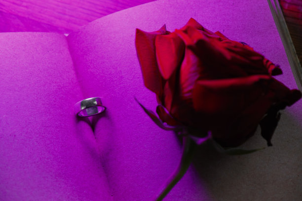 玫瑰,周年纪念,婚姻