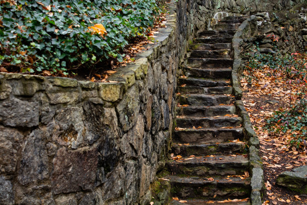 steps