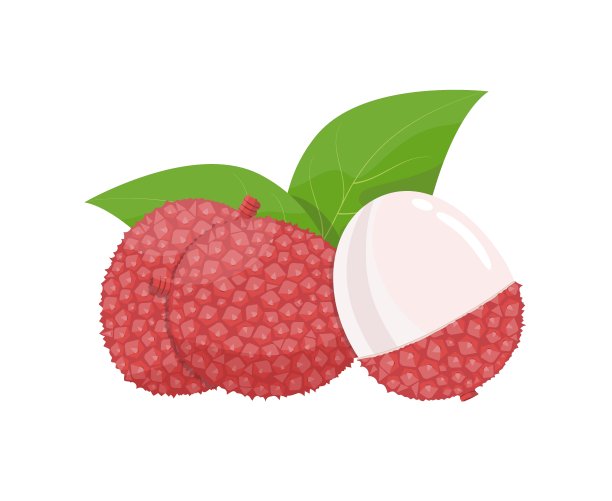 荔枝插图