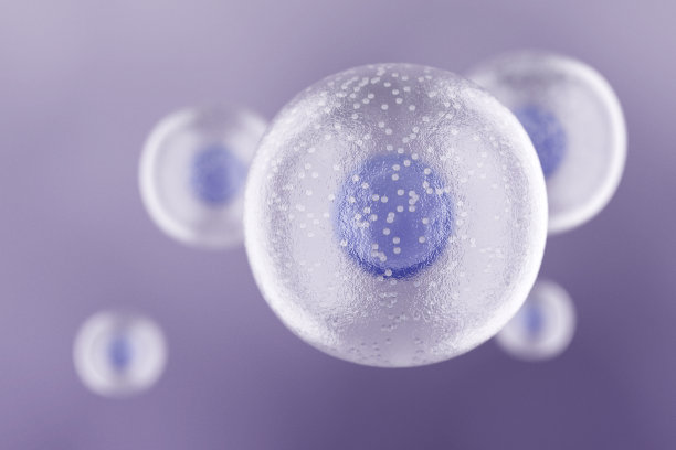 cell