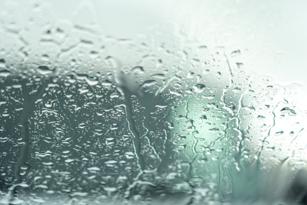 windshield