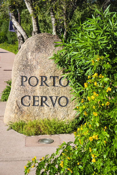 cervo