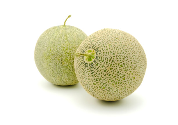cantaloupe