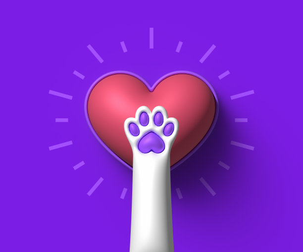 宠物猫宠物狗宠物店