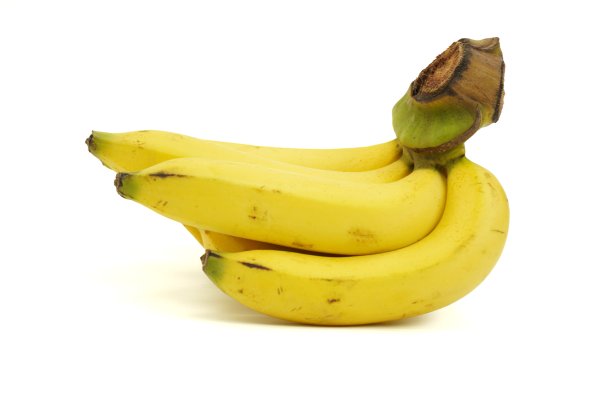 水培香蕉图片