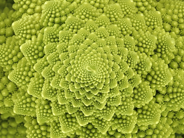 fractal