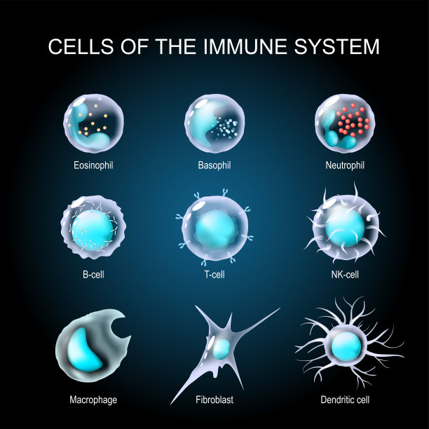 cd4