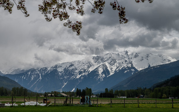 pemberton
