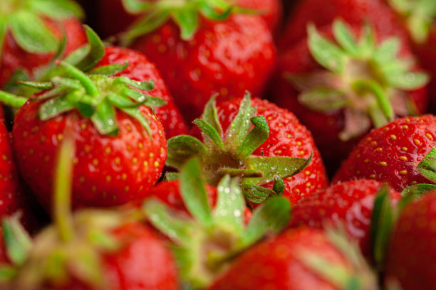 草莓摄影 光影草莓 草莓素材