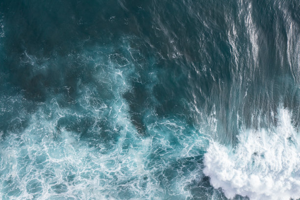 飞鸟蓝色大海壁纸