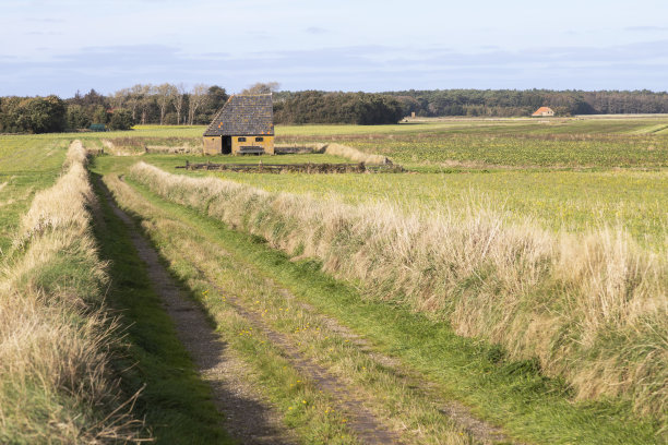 _texel