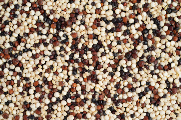 quinoa