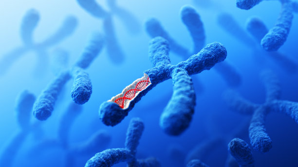 dna