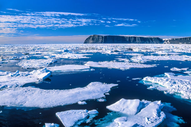 arctic
