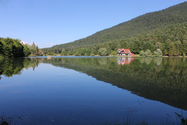 bolu
