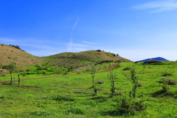 蓝天白云油菜花油画