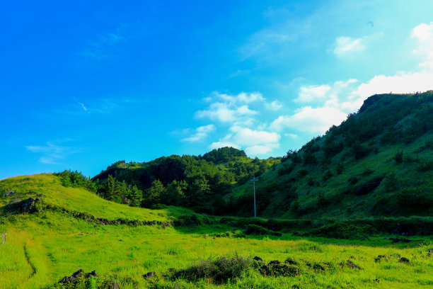 蓝天白云油菜花油画