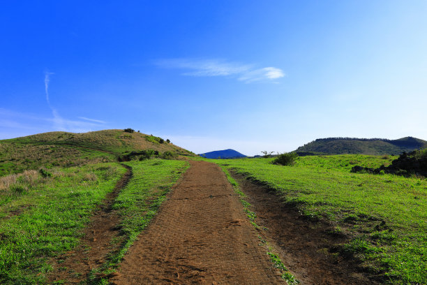 蓝天白云油菜花油画