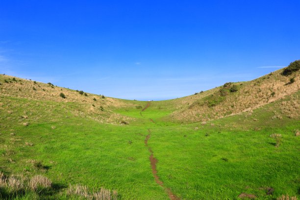 蓝天白云油菜花油画